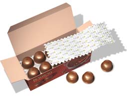 Ilustrações papel Almofada 2.jpg